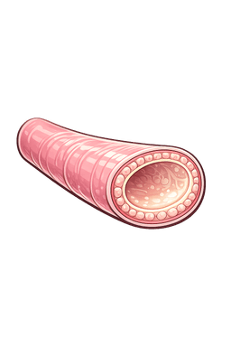 Ducts